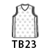 TB23